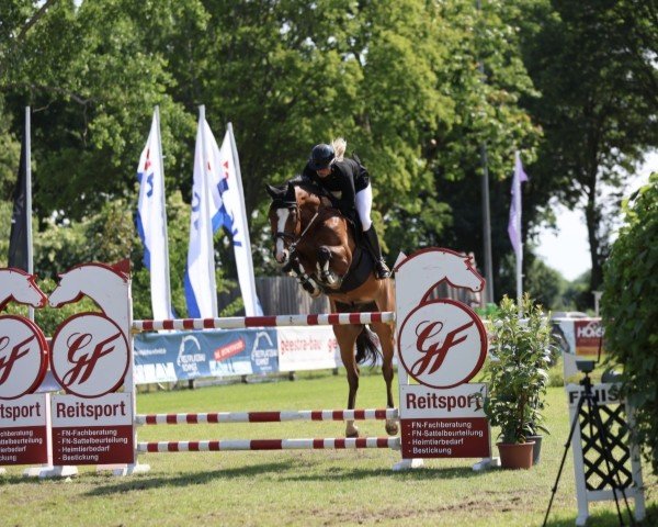 Springpaard Lueur D'Espoir (Mecklenburger, 2014, van License)