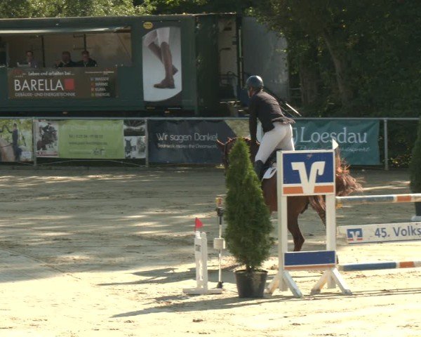 Reitturnier Oelde 2025