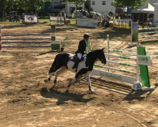 Reitturnier Baitz 2025