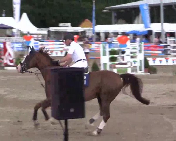 61. Lobbericher Reitsportfestival CSN