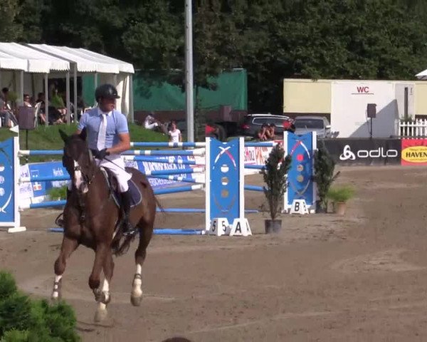 61. Lobbericher Reitsportfestival CSN