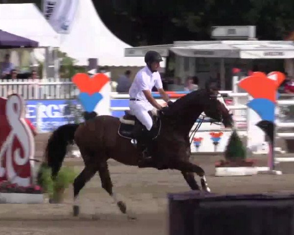 61. Lobbericher Reitsportfestival CSN