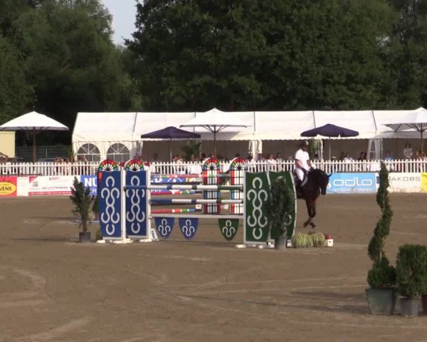61. Lobbericher Reitsportfestival CSN