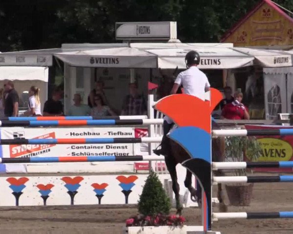 61. Lobbericher Reitsportfestival CSN
