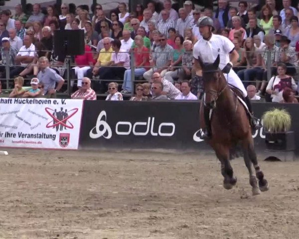 61. Lobbericher Reitsportfestival CSN