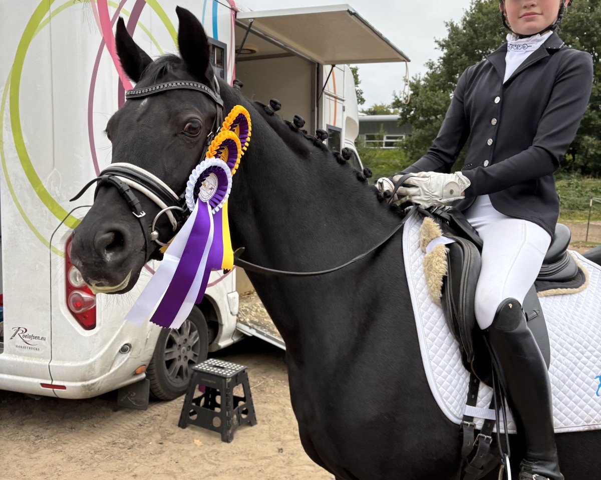 Pretty little black pearl: Cheval de Dressage, Pedigree, Résultats