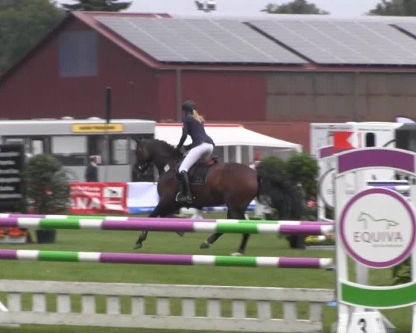 Dressur- und Springturnier Rheine-Wadelheim 2014