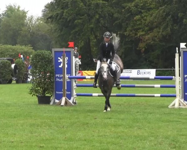 Dressur- und Springturnier Rheine-Wadelheim 2014