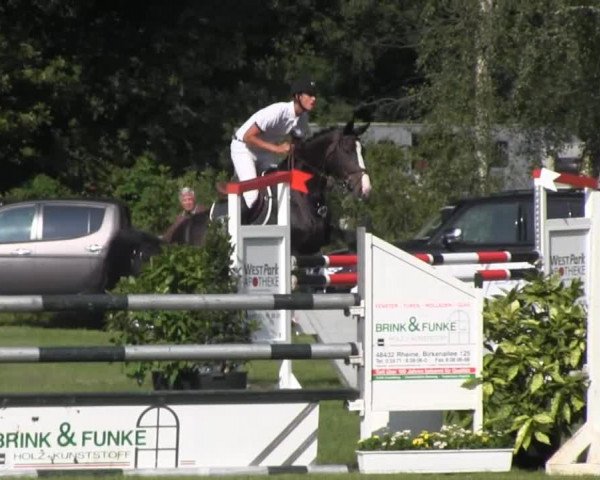 Dressur- und Springturnier Rheine-Wadelheim 2014