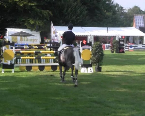 Dressur- und Springturnier Rheine-Wadelheim 2014
