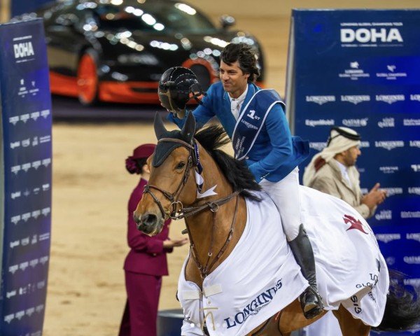 Jumper Geniale Star Kervec (Selle Français, 2016, from Quick Star)