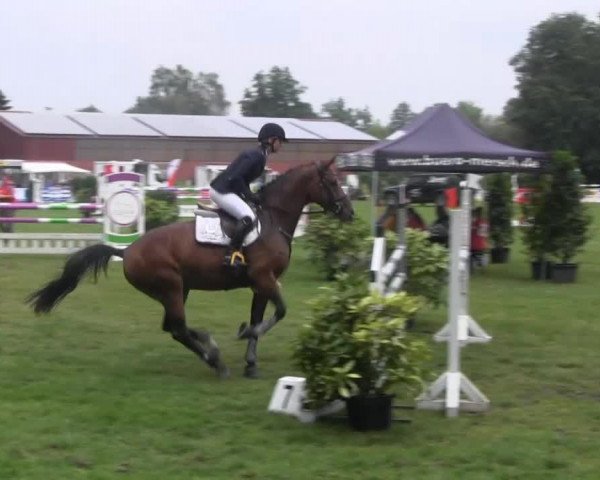 Dressur- und Springturnier Rheine-Wadelheim 2014