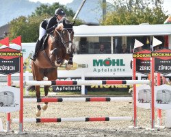 jumper Chica Bonita (Hanoverian, 2014, from Canabis Z)