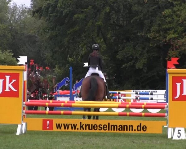 Dressur- und Springturnier Rheine-Wadelheim 2014