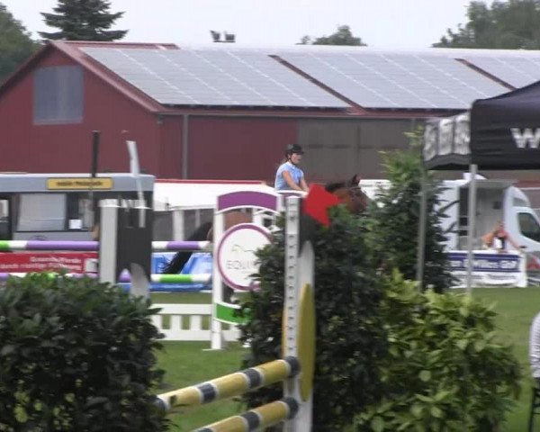 Dressur- und Springturnier Rheine-Wadelheim 2014