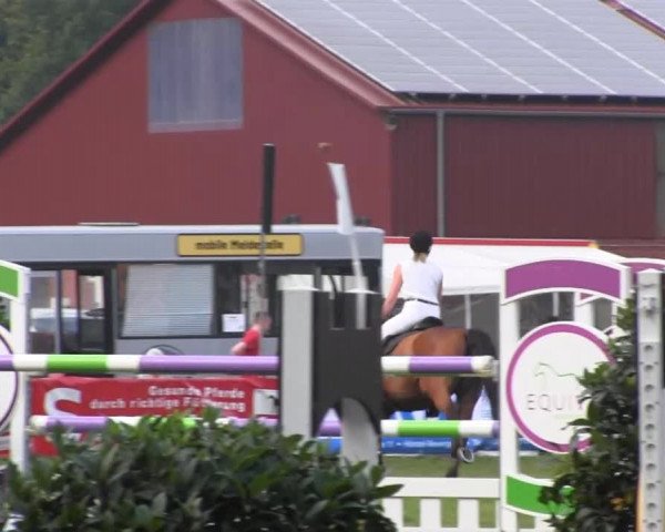 Dressur- und Springturnier Rheine-Wadelheim 2014