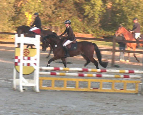 Reitturnier Kamen 2025