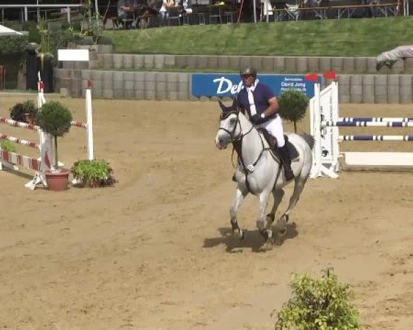 Reit- und Springturnier RSV Püttlingen 2014