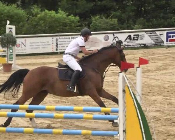 Reit- und Springturnier RSV Püttlingen 2014