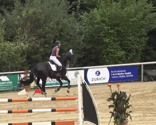 Reit- und Springturnier RSV Püttlingen 2014