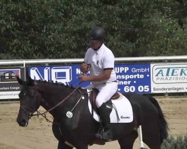 Reit- und Springturnier RSV Püttlingen 2014