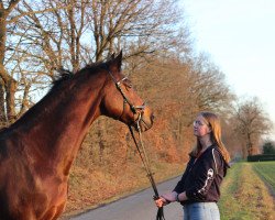 broodmare Ascada 7 (Westphalian, 2003, from Amantus)
