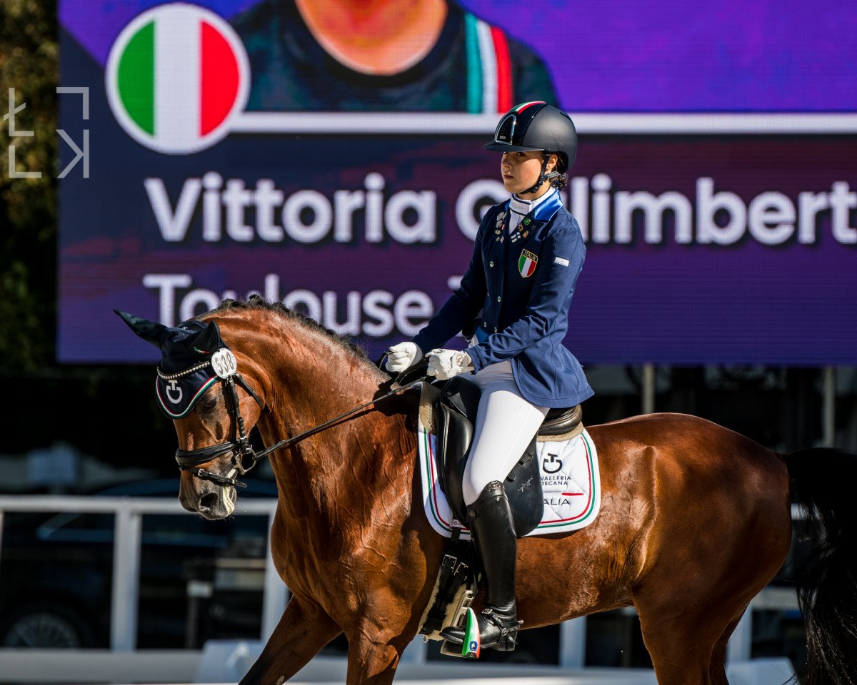 Dressurpferd Toulouse 72 (Deutsches Reitpony, 2008, von Kingston)