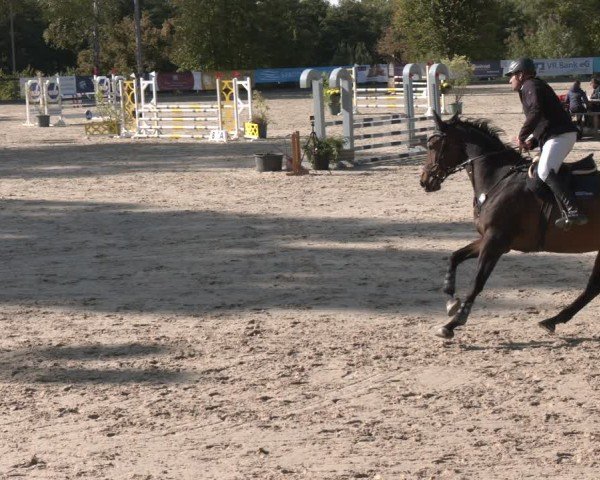 Reitturnier Düsseldorf - Uhlenhof 2025