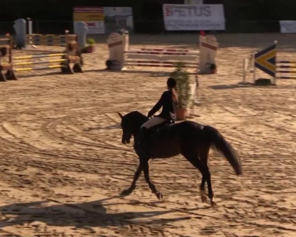 Springturnier Neunkirchen-Salchendorf 2014
