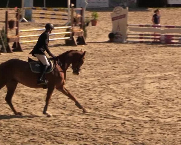 Springturnier Neunkirchen-Salchendorf 2014