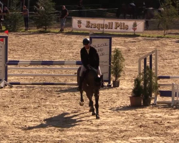 Springturnier Neunkirchen-Salchendorf 2014