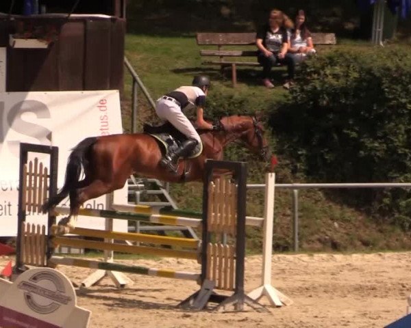 Springturnier Neunkirchen-Salchendorf 2014