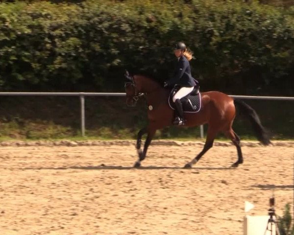 Springturnier Neunkirchen-Salchendorf 2014