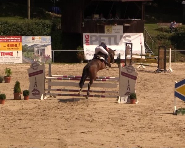 Springturnier Neunkirchen-Salchendorf 2014