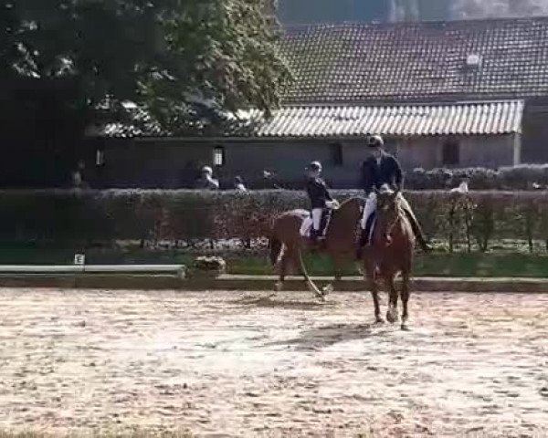 Video of Mailando