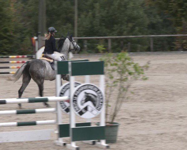 Reitturnier Düsseldorf - Uhlenhof 2025