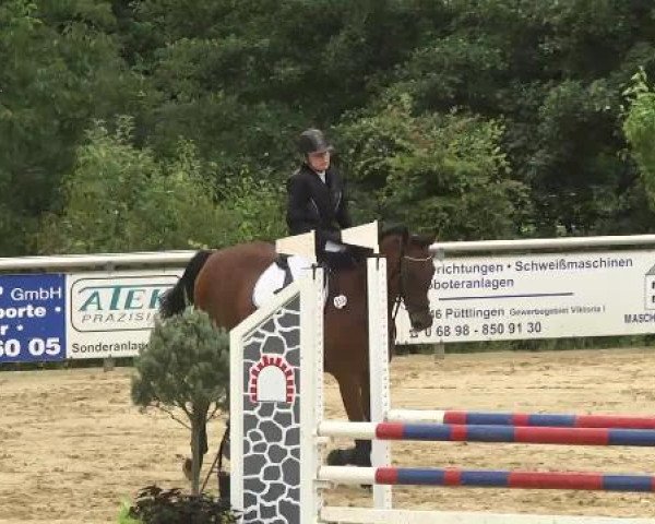 Reit- und Springturnier RSV Püttlingen 2014