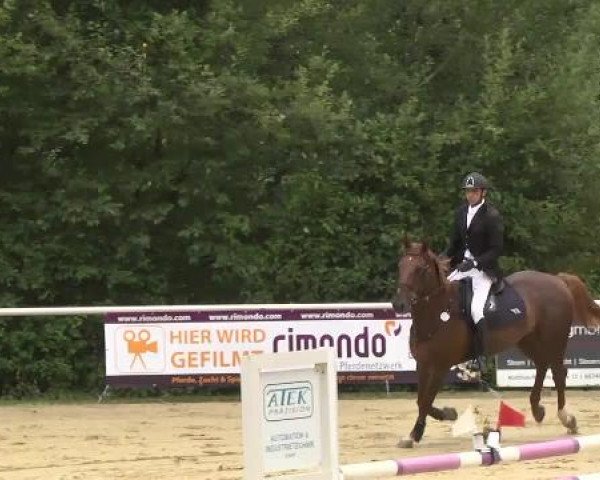 Reit- und Springturnier RSV Püttlingen 2014