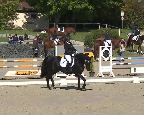 Reitturnier Frankenhof-Sonnefeld/Ofr. 2025
