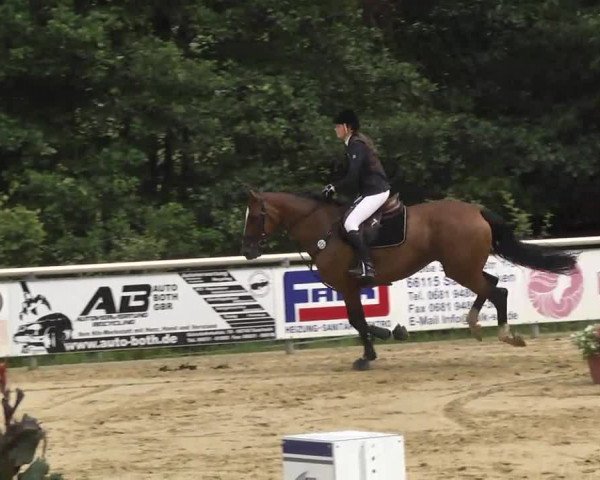 Reit- und Springturnier RSV Püttlingen 2014