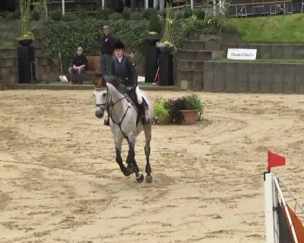 Reit- und Springturnier RSV Püttlingen 2014
