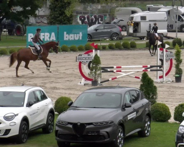 Jezdecký turnaj Basel 2025