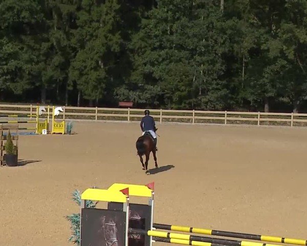 Reitturnier Tiefenhof/Opf. 2025