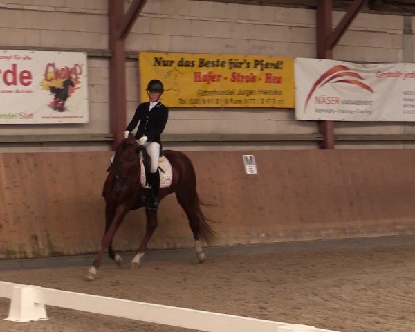 Reitturnier Elisenau 2025