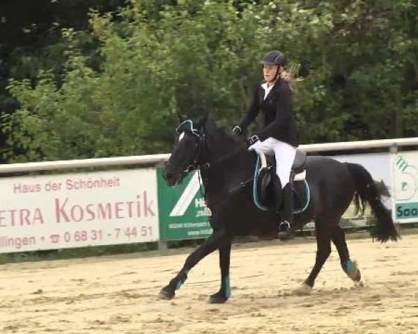 Reit- und Springturnier RSV Püttlingen 2014