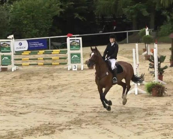 Reit- und Springturnier RSV Püttlingen 2014