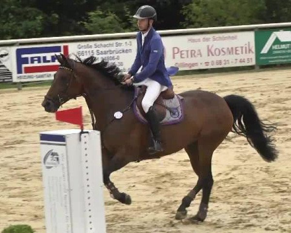 Reit- und Springturnier RSV Püttlingen 2014