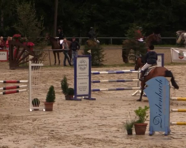 Springturnier Neunkirchen-Salchendorf 2014