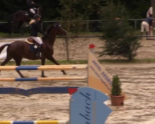 Springturnier Neunkirchen-Salchendorf 2014