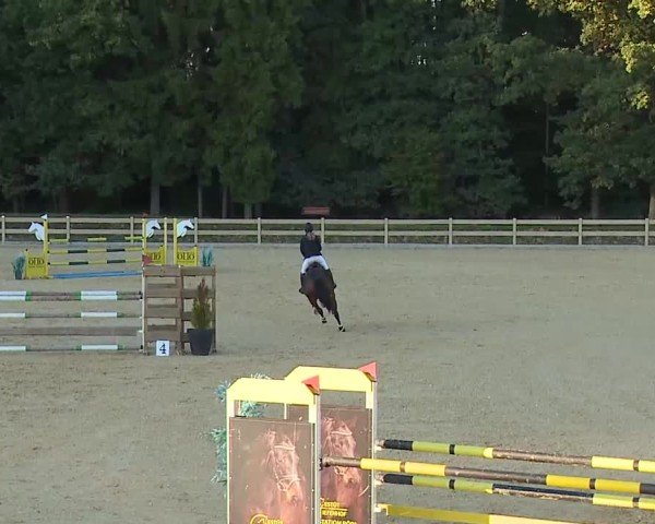 Reitturnier Tiefenhof/Opf. 2025